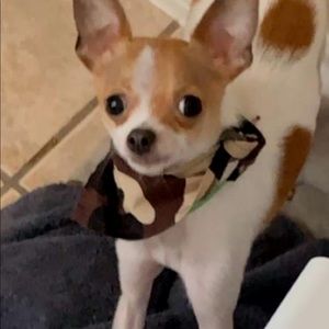 Meet your Posher, Alexis